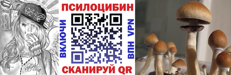 mega как зайти  цена наркотик  Азов  Псилоцибиновые грибы MAGIC MUSHROOMS 